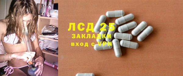 гашик Бородино