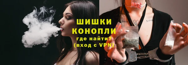 spice Верея